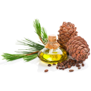 Pine Oil 39% -49% oil in bottle and brown nuts